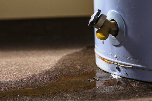Best Flood damage cleanup  in Ladoga, IN
