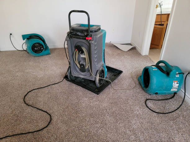 Local water damage restoration in IN