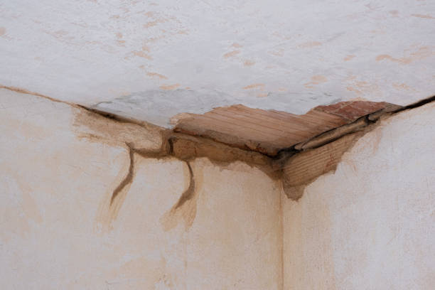 Best Sewage cleanup and water damage restoration  in Ladoga, IN
