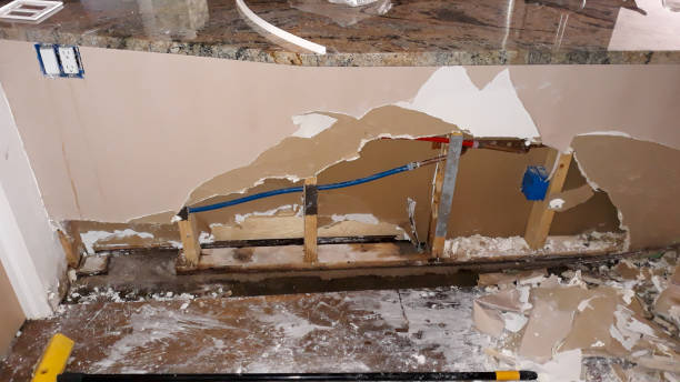 Best Carpet water damage restoration  in Ladoga, IN