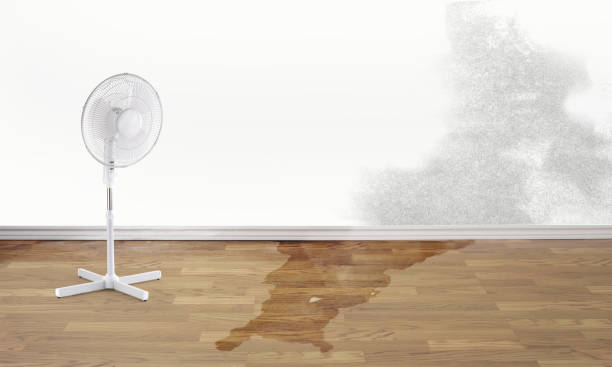  Ladoga, IN Water damage restoration Pros