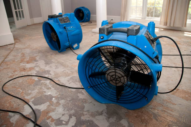 Best Commercial water damage restoration  in Ladoga, IN