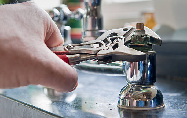 Best Professional water damage repair  in Ladoga, IN